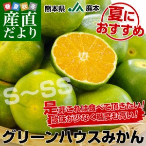 送料無料 熊本県より産地直送 JA鹿本 グリーンハウスみかん SからSSサイズ 約2.5キロ（約32玉から40玉）化粧箱入り ミカン 蜜柑