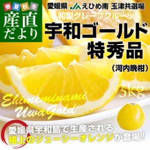 愛媛県より産地直送 JAえひめ南 玉津共選場 宇和ゴールド 特秀品 2LからLサイズ ３キロ化粧箱 (9玉から12玉) 送料無料