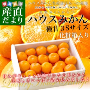 佐賀県より産地直送　JAからつ　ハウスみかん　3Sサイズ 　約1.2キロ（約30玉）　蜜柑　ミカン　送料無料