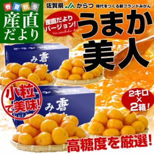 佐賀県より産地直送 JAからつ 小粒うまか美人 高糖度みかん 2Sから3Sサイズ 約2キロ×2箱 U・M・K美人 蜜柑 温州ミカン 産直だより 御