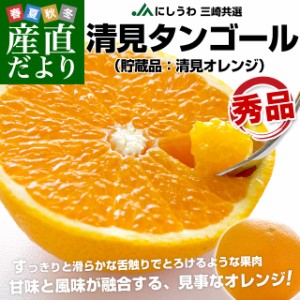 愛媛県より産地直送 JAにしうわ三崎共選 清見タンゴール（貯蔵品）秀品 2LからLサイズ 約5キロ (22玉から32玉前後) 送料無料 柑橘 オレン