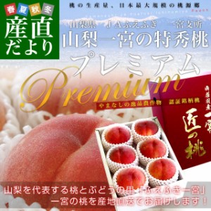 山梨県より産地直送　JAふえふき 一宮支所　一宮の特秀桃　プレミアム　約1.5キロ　6玉入　もも　お中元ギフト 送料無料