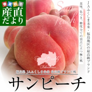 福島県より産地直送　JAふくしま未来 最高級ブランド桃「サンピーチ」 約3キロ（10玉から12玉） 送料無料　桃 もも　ピーチ