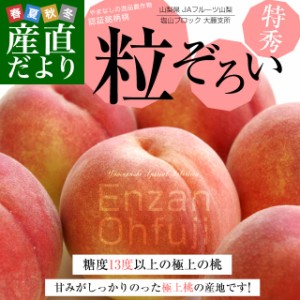 山梨県 JAフルーツ山梨 大藤支所 大藤の特秀桃「粒ぞろい」 約1.8キロ (5玉から6玉) 送料無料 桃 もも 市場発送 クール便