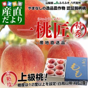 山梨県より産地直送 JAふえふき八代支所 八代の特秀桃 一桃匠 (いっとうしょう) 約2キロ (5玉から7玉) 送料無料 もも モモ 富士の国やま