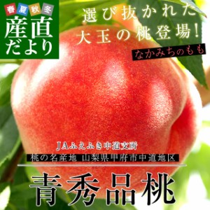 山梨県より産地直送　山梨JAふえふき中道支所　青秀品桃  約1.5キロ（４玉から６玉）送料無料　もも　桃、モモ、ピーチ　お中元　ギフト