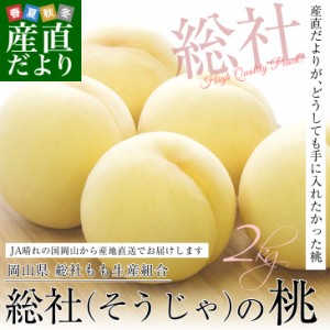岡山県から産地直送 JA晴れの国岡山 総社もも生産組合 総社(そうじゃ)の桃 青秀以上 約2キロ(6玉から9玉) もも モモ