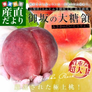 山梨県より産地直送 JAふえふき御坂支所 最高級桃「御坂の大糖領」 超大玉 約1キロ (3玉入) 送料無料 もも モモ お中元 ギフト