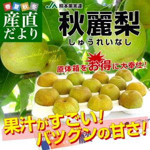 熊本県より産地直送 JA熊本果実連 秋麗梨 (しゅうれいなし) 5キロ (12玉から16玉) ナシ なし 送料無料