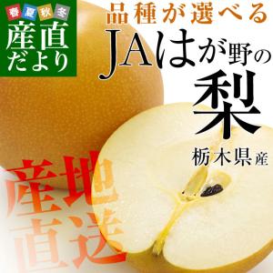栃木県より産地直送 JAはが野 品種が選べる 梨 (幸水、豊水、あきづき) 優品以上 約5キロ (8玉から16玉) なし ナシ 梨 送料無料