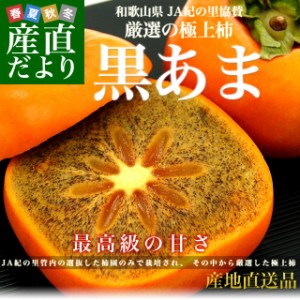 和歌山県より産地直送 JA紀の里 黒あま 2キロ(8玉から9玉) 送料無料 カキ かき 柿 産直だより