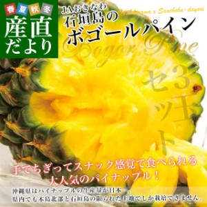 沖縄県より産地直送 JAおきなわ 石垣島産 ボゴールパイン 3玉セット 合計1.8キロ前後 (600g×3玉) 送料無料 沖縄パイン パイナップル パ