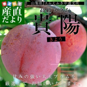 山梨県より産地直送 JAふえふき 中道支所 貴陽 約1.8キロ(6玉から8玉) 大玉厳選 送料無料 すもも スモモ プラム 李