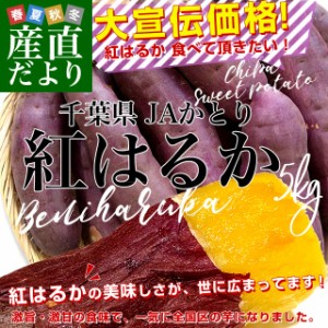 千葉県産 JAかとり 紅はるか Lサイズ 約5キロ 13本前後 送料無料 さつまいも サツマイモ 薩摩芋 新芋 市場発送