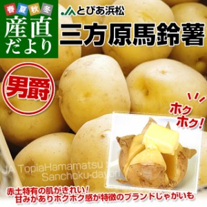 静岡県産 JAとぴあ浜松 三方原馬鈴薯（男爵） Mサイズ 10キロ ばれいしょ じゃがいも ジャガイモ 送料無料