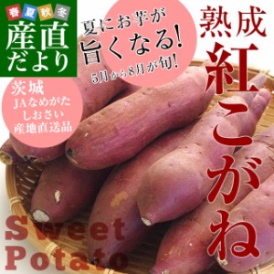 茨城県より産地直送 JAなめがたしおさい さつまいも「熟成紅こがね」 Mサイズ 約5キロ（18本前後） 送料無料 行方 薩摩芋