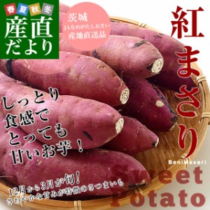 茨城県より産地直送 JAなめがた さつまいも「紅まさり(べにまさり)」 SからSSサイズ 約1キロ×3箱セット 送料無料 さつま芋 サツマイモ 