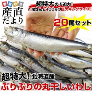 北海道産 超特大いわし丸干し 巨大キングサイズ 20尾セット 2キロ (1尾100g以上×20尾) 産直だより 北海道直送 イワシ 鰯 送料無料