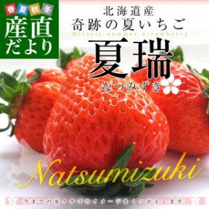 北海道より産地直送 高級いちご 夏瑞（なつみずき）約180g（6粒から7粒）×2パック　化粧箱入り イチゴ 苺 夏イチゴ