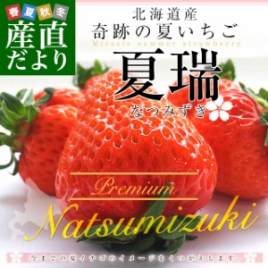 北海道より産地直送 高級いちご 夏瑞（なつみずき）プレミアム　約200g（5粒）×2パック　化粧箱入り イチゴ 苺 夏イチゴ