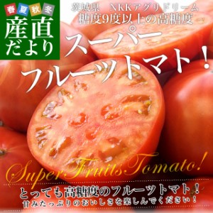 茨城県より産地直送 NKKアグリドリーム スーパーフルーツトマト 9度＋ A品 約1キロ(8玉から16玉)  送料無料 高糖度トマト NKKトマト