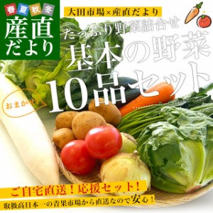 たっぷり野菜詰め合わせ　応援セット　（国産おまかせ野菜１０品セット）※キャベツ、レタス、ほうれん草、小松菜、きゅうり、トマト、ナ