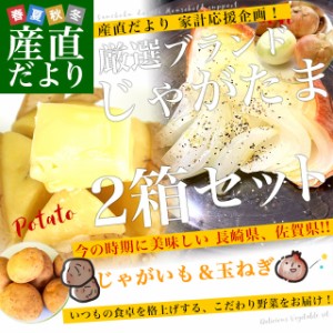 厳選ブランド産地！じゃがいも×玉ねぎ2箱セット（長崎県産 じゃがいも×佐賀県産玉ねぎ　各3キロ）送料無料　ジャガイモ　玉ねぎ　玉葱