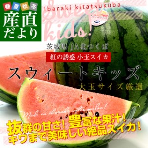 茨城県 JA北つくば 紅の誘惑 小玉スイカ 「スウィートキッズ」 優品 大玉2Lサイズ 計4キロ（約2キロ×2玉） 送料無料 すいか 西瓜 べにの