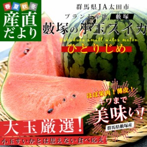 群馬県JA太田市 藪塚の小玉スイカ (ひとりじめ) 秀品 大玉サイズ 計4キロ（約2キロ×2玉）送料無料 西瓜 すいか