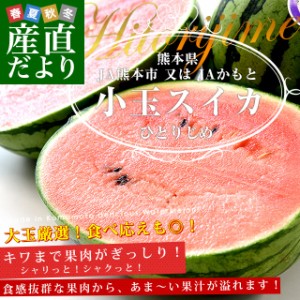 熊本県 JA熊本市 又は JAかもと 小玉スイカ(品種：ひとりじめ) 優品以上 合計4キロ (約2キロ×2玉) 送料無料 すいか 西瓜