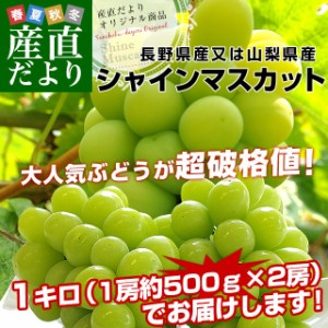シャイン マスカット 山梨 安いの通販|au PAY マーケット