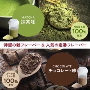 オムテック メンズ ウェルネス プロテイン 2つの味から選べる チョコレート味 抹茶味メンズ 男性 妊活 ビタミン