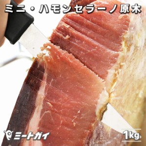 スペイン産 ミニ・ハモン 生ハム 1kg 台座・ナイフ付き（冷蔵発送）