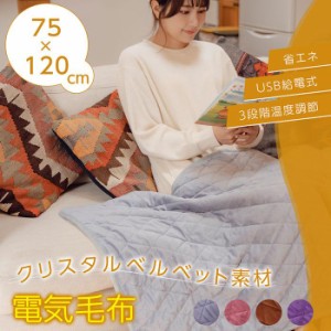 電気毛布 電気ブランケット ヒーターブランケット 掛け敷き 75×120cm 3段階温度調節 電気ひざ掛け USB 洗える