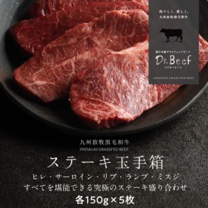 Dr.Beef ステーキタマ手箱 合計750g (ヒレ150g、サーロイン150g、リブロース150g、ランプ150g、ミスジ150g) ドクタービーフ 純日本産グラ