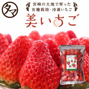 美いちご 1kg(500g×2)　苺 いちご 国産 宮崎県産 有機栽培 冷凍 フルーツ 冷凍フルーツ 美いちご さがほのか 恋みのり あまおとめ ギフ