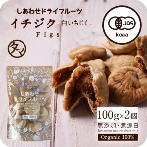 オーガニック 有機いちじく 100g×2個セット ドライイチジク ドライいちじく 白いちじく フィグ トルコ産 大粒 無添加 イチジク 有機JAS