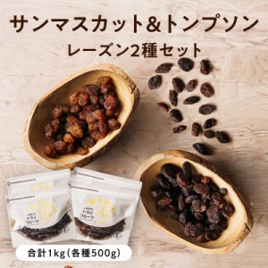 サンマスカットレーズン+トンプソンレーズン 計1kgセット (各500g)  | ドライフルーツ 無添加 砂糖不使用 マスカット レーズン ノンオイ