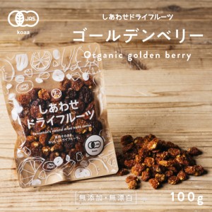 有機ゴールデンベリー100g 美容 健康 スーパーフード ゴールデンベリー フルーツ 果物 インカベリー ごーるでんべりー ベリー ジャム シ