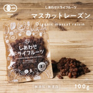 サンマスカットレーズン(100g/オーストラリア産)  ドライフルーツ 無添加 砂糖不使用 ノンオイル ポリフェノール 有機JAS認定 レーズン 