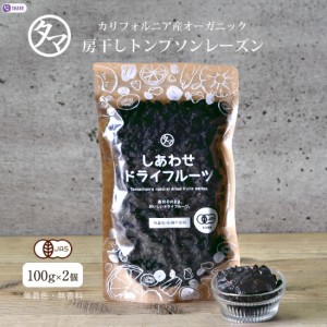 房干しトンプソンレーズン 100g×2個セット (アメリカ産) 送料無料 無添加 ノンオイル 砂糖 着色料不使用 ドライフルーツ ドライレーズン