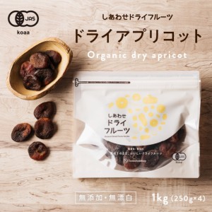 ドライアプリコット(1kg/トルコ産/無添加)  ドライフルーツ お試し あんず 杏 あぷりこっと アンズ グルメ 食品 果物 スイーツ お菓子 食