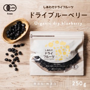 ドライブルーベリー (250g/アメリカ産/無添加) 有機JAS認定 オーガニック 爽やかな酸味と豊富なアントシアニンが特徴 お試し ベリー ジャ