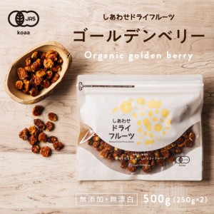 有機ゴールデンベリー500g（250g×2袋）？美容 健康 スーパーフード ゴールデンベリー フルーツ 果物 インカベリー ごーるでんべりー ベ