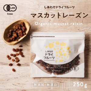 サンマスカットレーズン(250g/オーストラリア産) ドライフルーツ 無添加 砂糖不使用 マスカット レーズン ノンオイル ポリフェノール 有