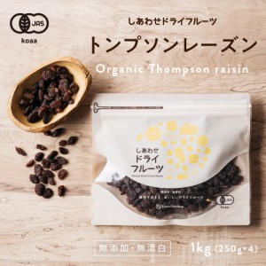 【送料無料】房干しトンプソンレーズン 1kg  (250g×4袋)  (アメリカ産) 送料無料 無添加 ノンオイル 砂糖 着色料不使用 ドライフルーツ 