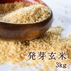 発芽玄米3kg 量もたっぷり 国産玄米の真の実力 雑穀米 雑穀 栄養 玄米 ダイエット 健康 美容 国内産 日本産 美味しい お取り寄せグルメ 