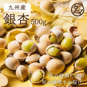 【九州産】ぎんなん 500g 銀杏 冷凍　ギンナン　野菜
