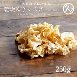 【送料無料】無農薬 乾燥 ゆきくらげ 250g 白いあらげきくらげ ぷりぷりコリコリの国産キクラゲ 豊富なビタミンDとビオチン。まさに食べ