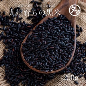 黒米 (紫黒米) 250g 黒米の王様 古代から伝わる黒米 国産 黒米 黒紫米 紫黒米 お試し 食品 減農薬栽培 くろまい ブラック 雑穀米 雑穀 栄